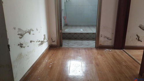 卫生间门材质与设计选择指南